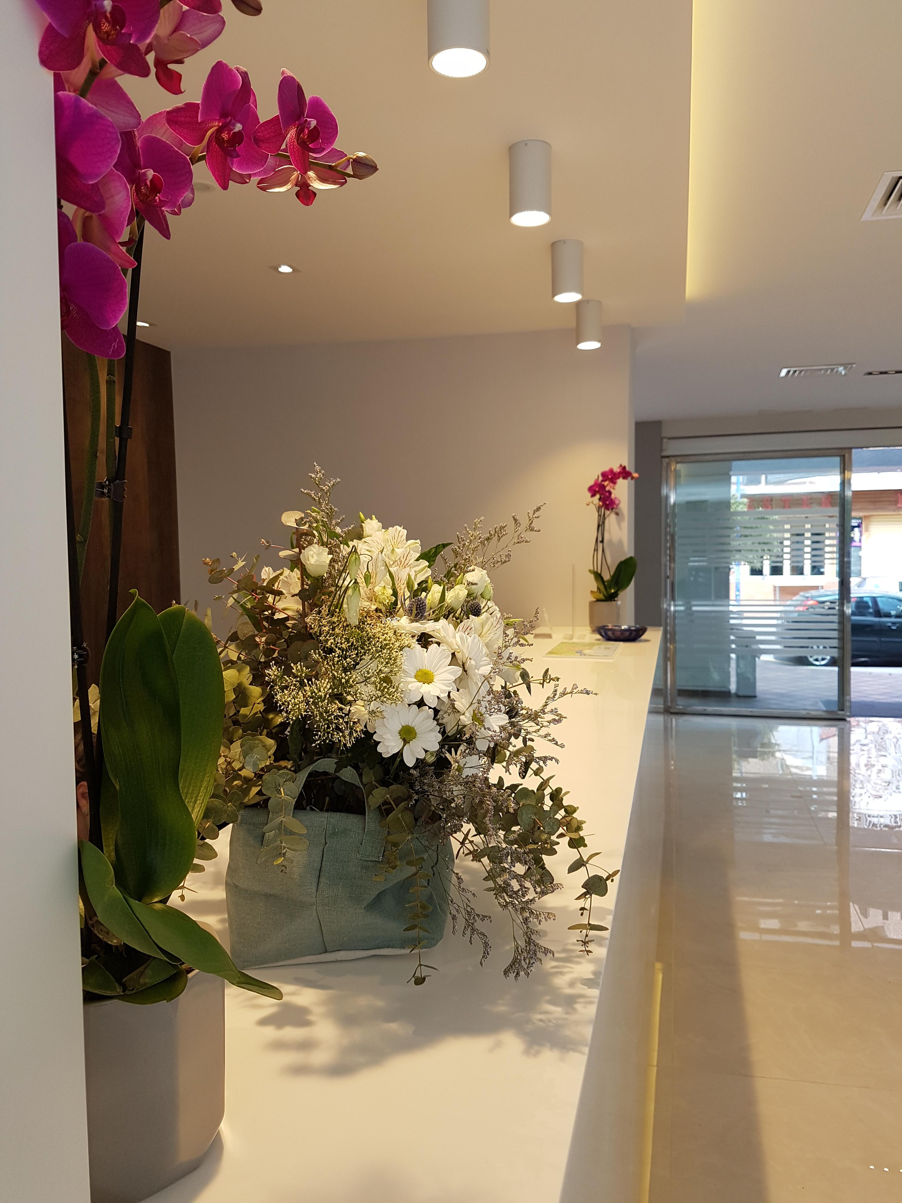 Hotel Perla Benidorm Dış mekan fotoğraf